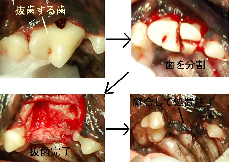 f:id:minvet2007:20121103191226j:image
