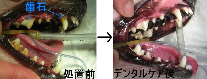 f:id:minvet2007:20121103191228j:image