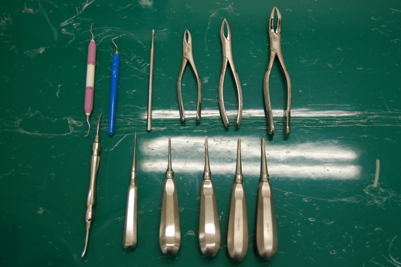 f:id:minvet2007:20121105110408j:image
