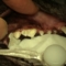 20151205142732