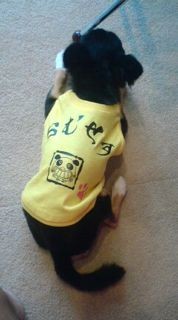 f:id:minxharajuku:20090706074814j:image f:id:minxharajuku:20090706074814j:image