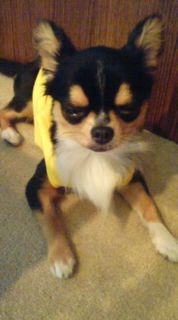 f:id:minxharajuku:20090706080135j:image f:id:minxharajuku:20090706080135j:image