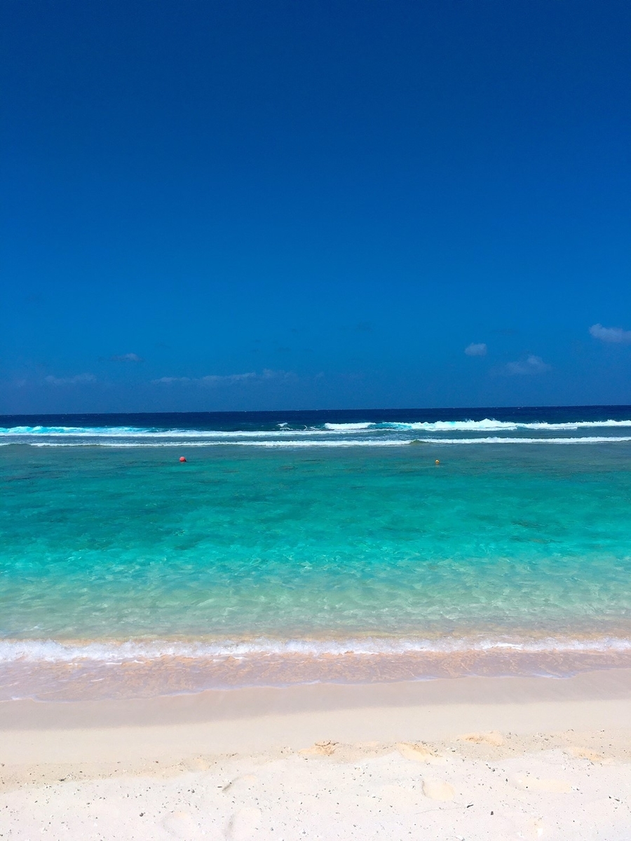 f:id:mio-log:20200609222845j:plain