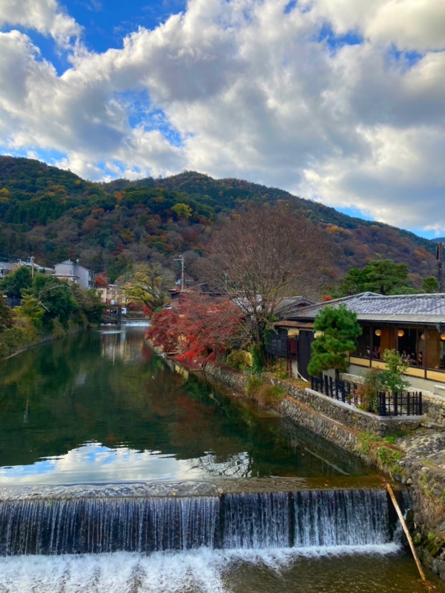 f:id:mio-log:20201211164019j:plain