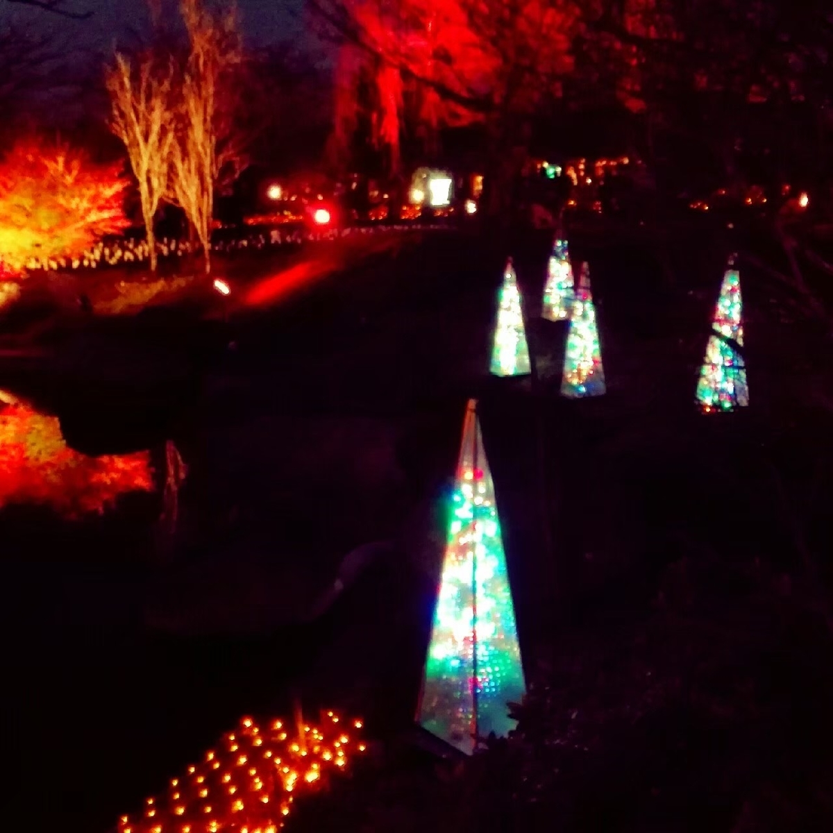 f:id:mio-log:20210108174348j:plain