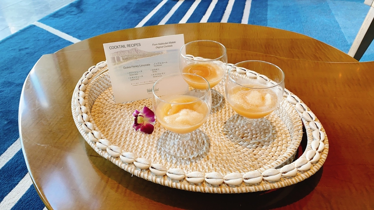 f:id:mio-log:20210113153359j:plain