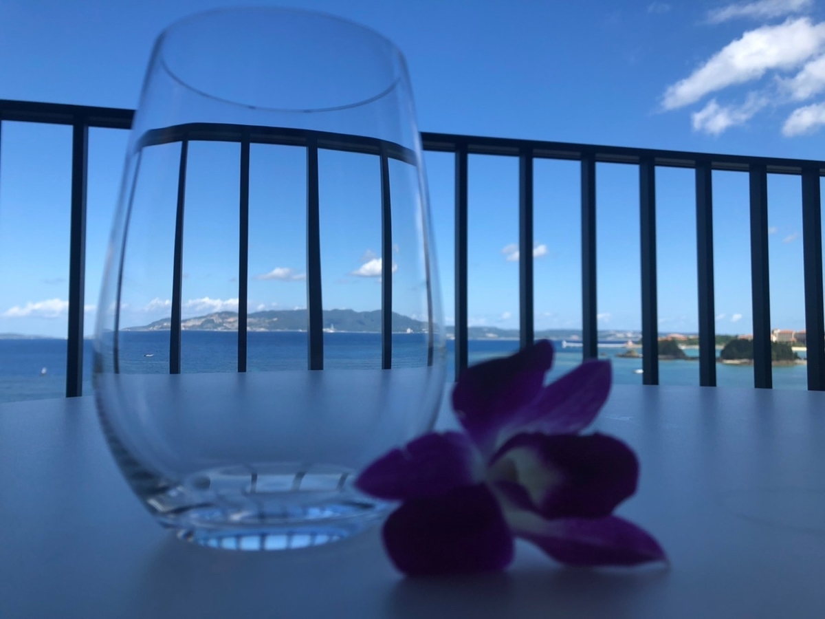 f:id:mio-log:20210113155011j:plain