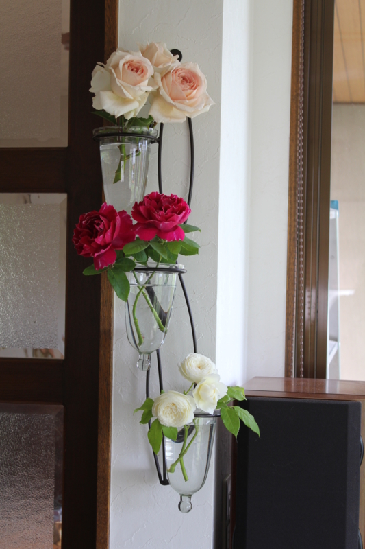 f:id:mio20100501:20100621132413j:image:left