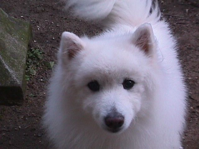 f:id:mio20100501:20100707132430j:image