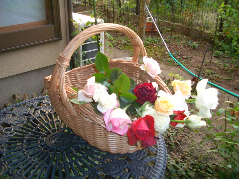 f:id:mio20100501:20101013063033j:image
