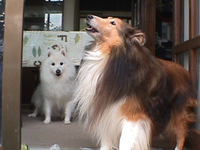 f:id:mio20100501:20101115055608j:image