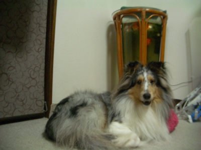 f:id:mio20100501:20101222193248j:image f:id:mio20100501:20101222193248j:image