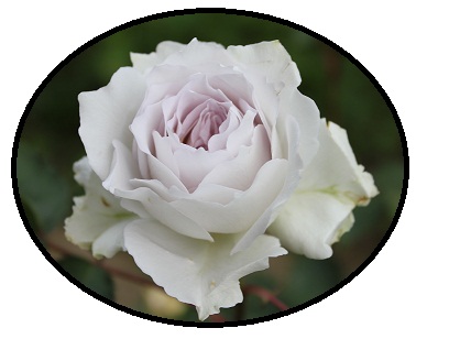 f:id:mio20100501:20110605094802j:image:w360:right f:id:mio20100501:20110605094802j:image:w360:right