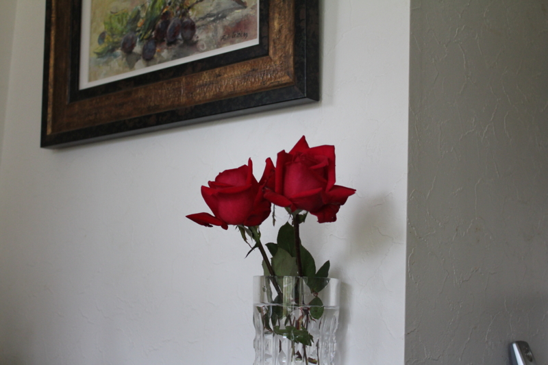 f:id:mio20100501:20111022082431j:image:w360:left