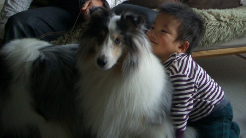 f:id:mio20100501:20111220022807j:image:w360:left f:id:mio20100501:20111220022807j:image:w360:left