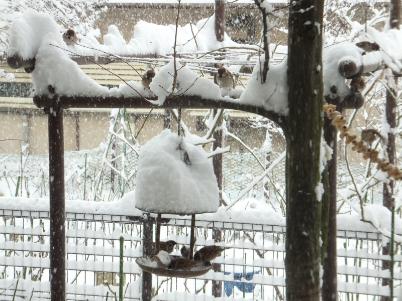 f:id:mio20100501:20120125091047j:image:w360:right