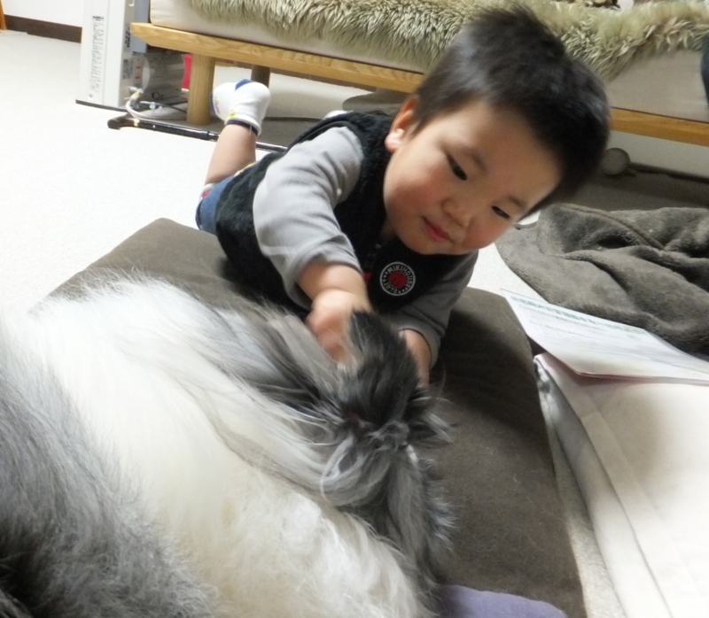 f:id:mio20100501:20120323194925j:image:w360:left f:id:mio20100501:20120323194925j:image:w360:left