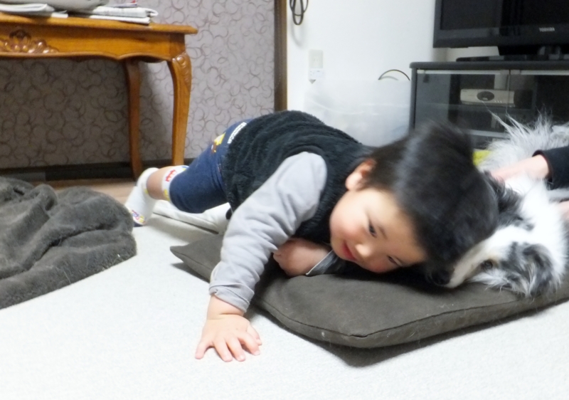 f:id:mio20100501:20120323195156j:image:w360:left