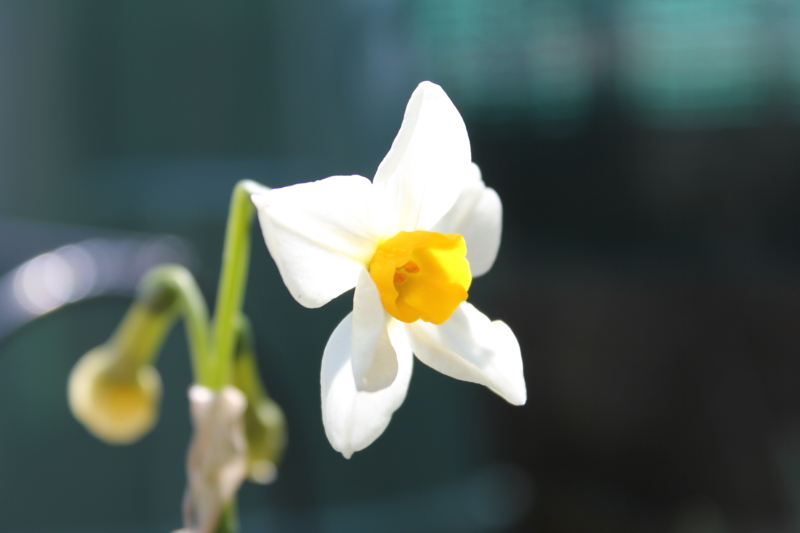 f:id:mio20100501:20120406130801j:image:w640:left f:id:mio20100501:20120406130801j:image:w640:left