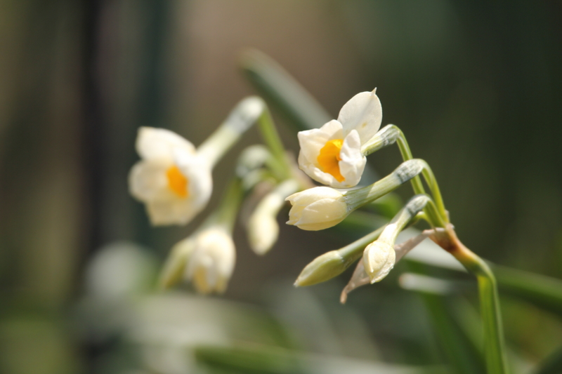 f:id:mio20100501:20120406134823j:image:w360:right