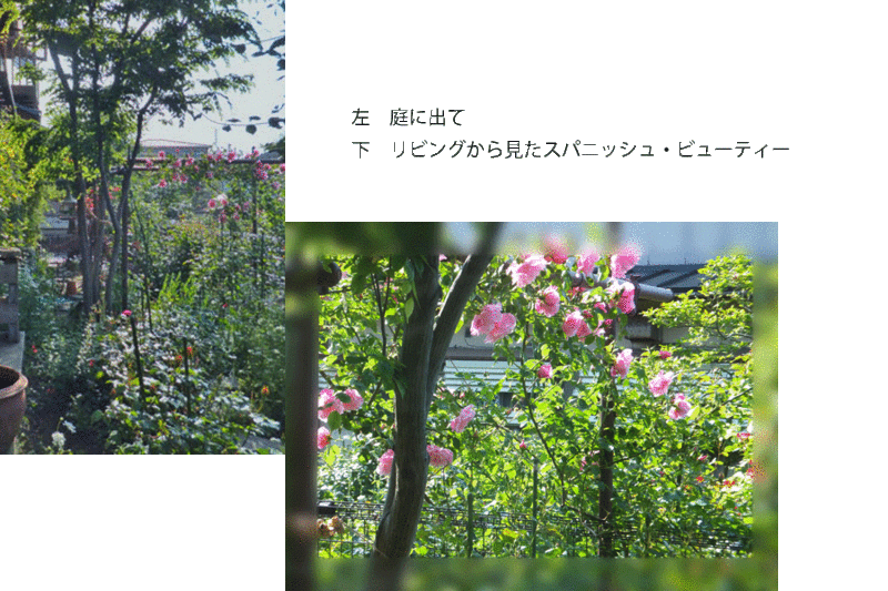 f:id:mio20100501:20120527122115g:image:w640