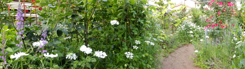 20120529063739