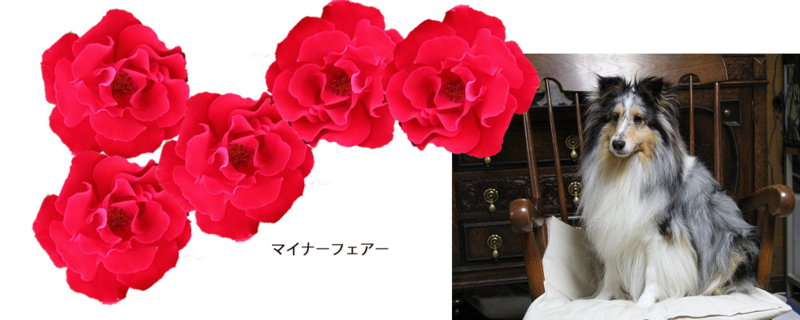 f:id:mio20100501:20120612212135j:image:w640
