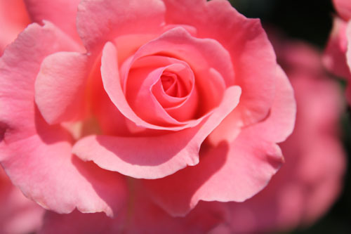 f:id:mio20100501:20120629082511j:image:w360:left