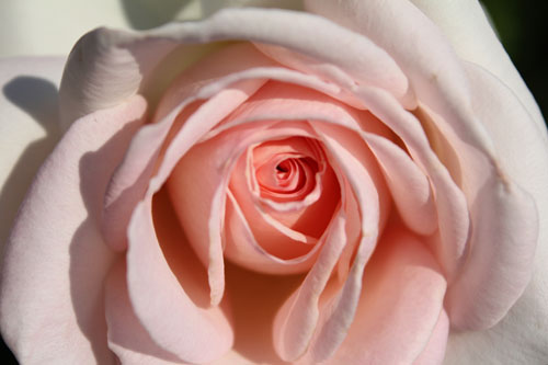 f:id:mio20100501:20120629083855j:image:w640 f:id:mio20100501:20120629083855j:image:w640