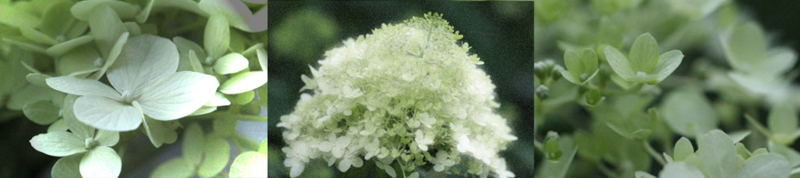 f:id:mio20100501:20120724170704j:image:w640