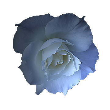f:id:mio20100501:20120729183526j:image:w360:right