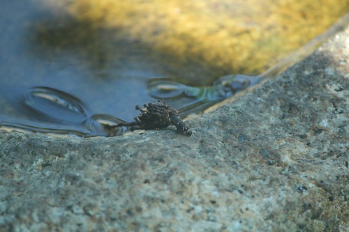 f:id:mio20100501:20120818143310j:image:w360:right f:id:mio20100501:20120818143310j:image:w360:right