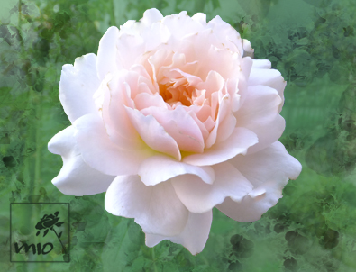 f:id:mio20100501:20121014130139j:image:w640 f:id:mio20100501:20121014130139j:image:w640