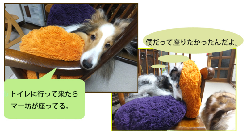 f:id:mio20100501:20121025152912j:image:w640:left