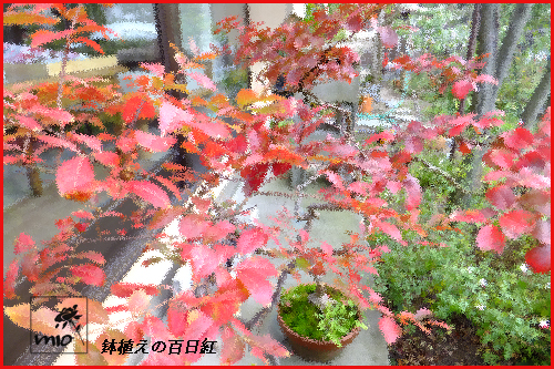 f:id:mio20100501:20121031103018j:image:w360:left