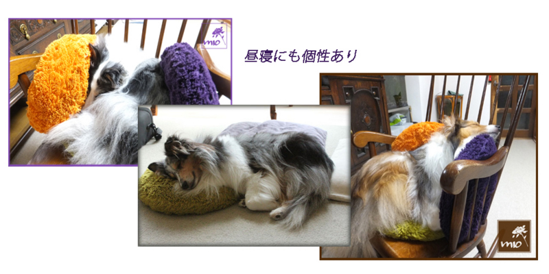 f:id:mio20100501:20121120212122j:image:w640:left