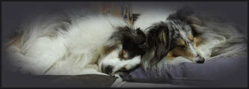 f:id:mio20100501:20121125184414j:image:w360:left