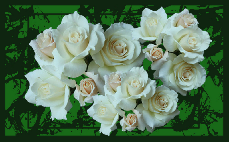 f:id:mio20100501:20130213154603j:image:w360:left