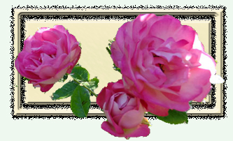 f:id:mio20100501:20130225134855j:image:w360:left
