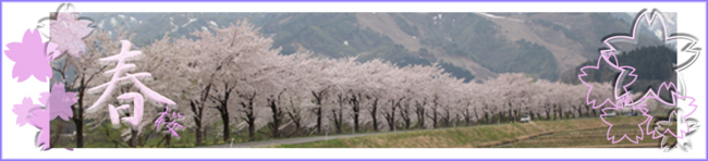f:id:mio20100501:20130302210347j:image:left