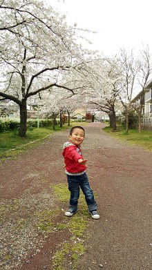 f:id:mio20100501:20130422163108j:image:w360:left f:id:mio20100501:20130422163108j:image:w360:left