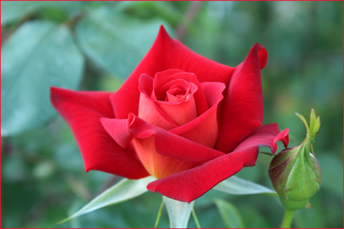 f:id:mio20100501:20130525102428j:image:w360:left