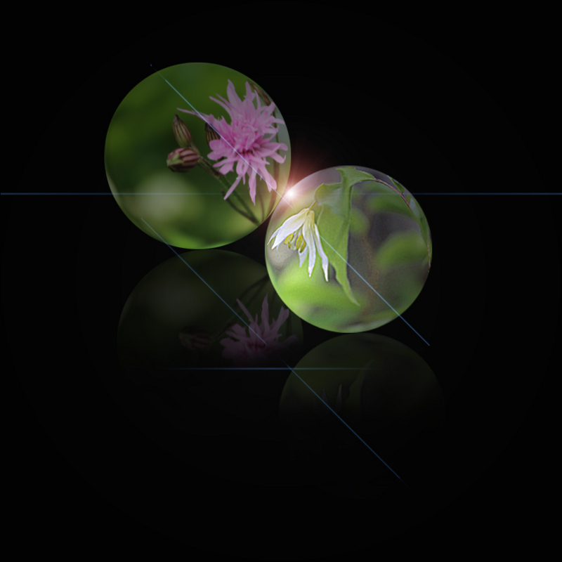 f:id:mio20100501:20130701164821j:image:w640:left f:id:mio20100501:20130701164821j:image:w640:left