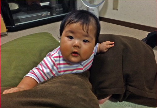 f:id:mio20100501:20131004165841j:image:w360:left f:id:mio20100501:20131004165841j:image:w360:left