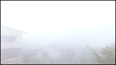 f:id:mio20100501:20131109081223j:image:w360:right