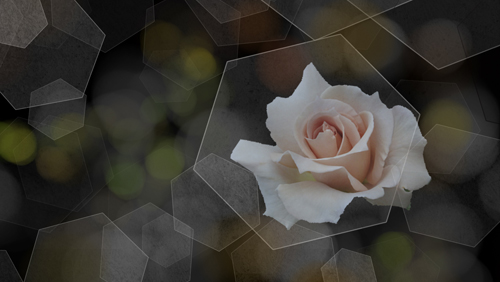 f:id:mio20100501:20131130051201j:image:w360:left