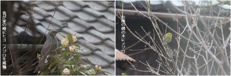 f:id:mio20100501:20140102134604j:image:w640:left
