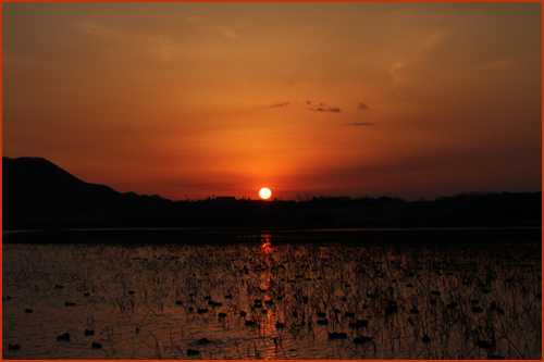 f:id:mio20100501:20140124182649j:image:w640