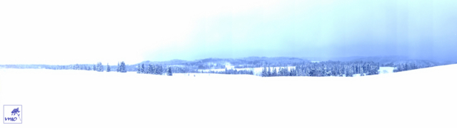 f:id:mio20100501:20140221234305j:image:w640