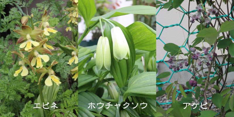 f:id:mio20100501:20140501134123j:image:w640